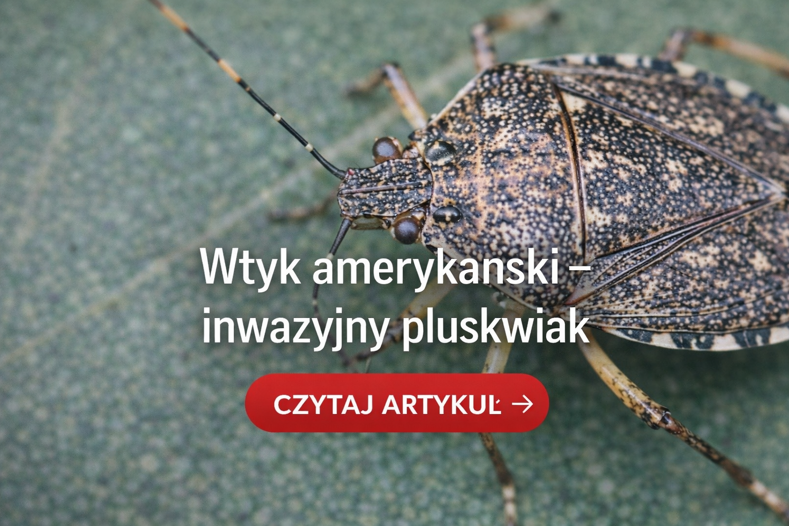 chatgpt image 20 kwi 2026, 08 22 17