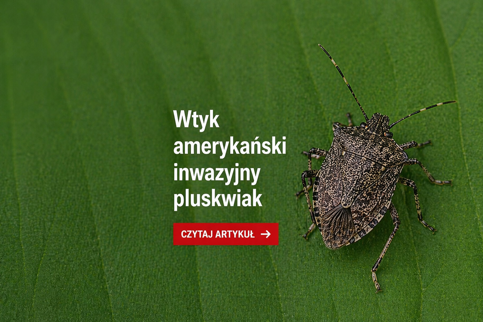 chatgpt image 24 kwi 2026, 19 15 09